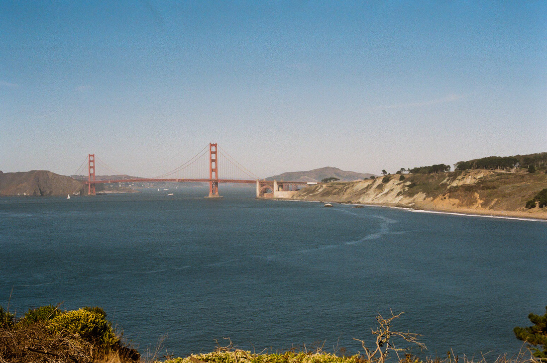 Minerva Chapter 1 | San Francisco